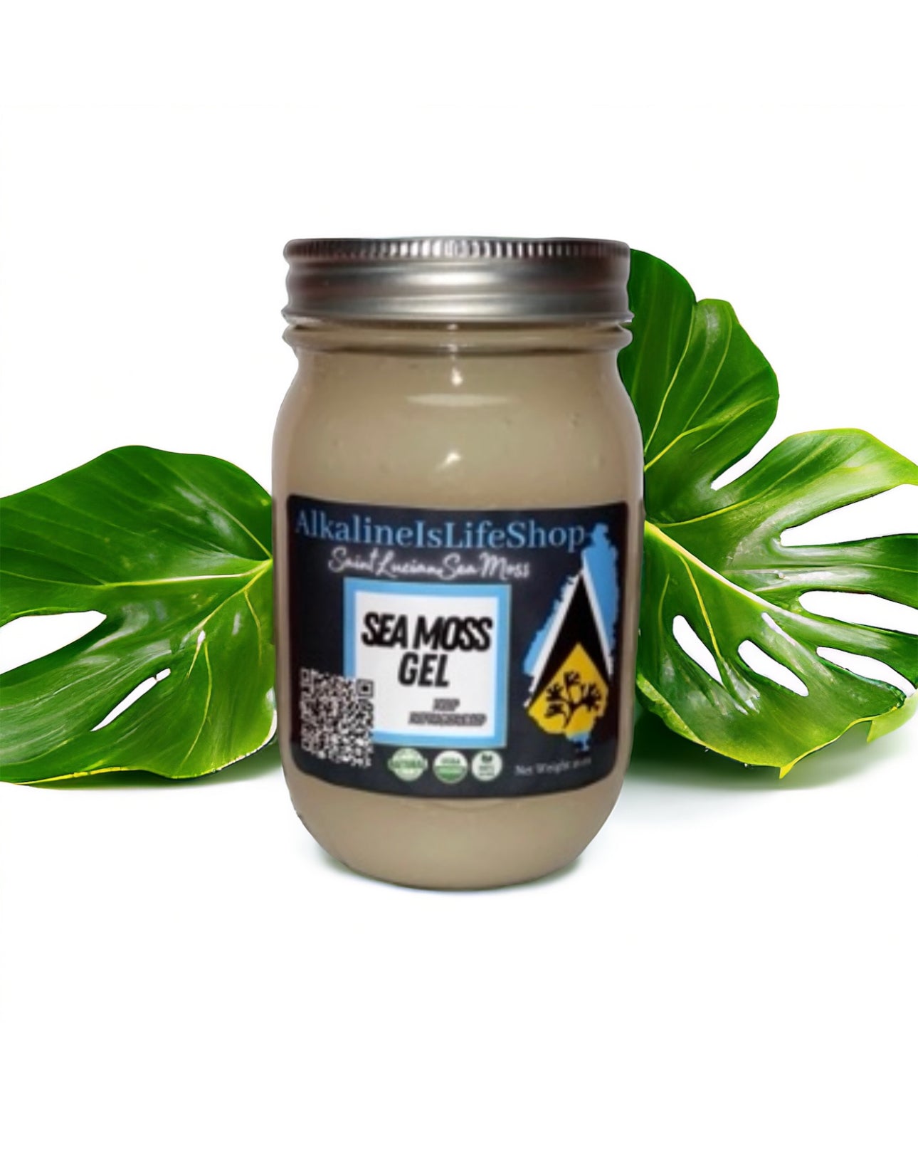 Regular Sea Moss Gel