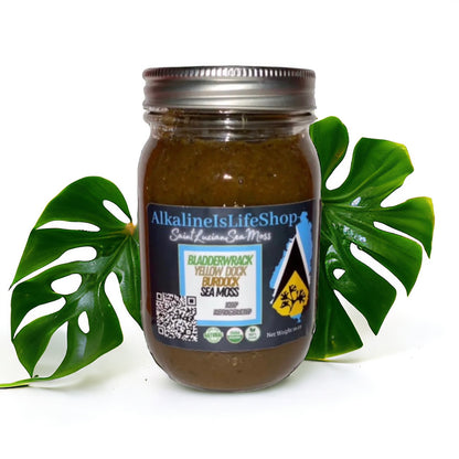 Sea Moss Complete Gel