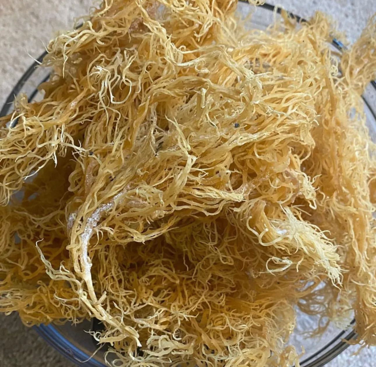Saint Lucia Wildcrafted Sea Moss