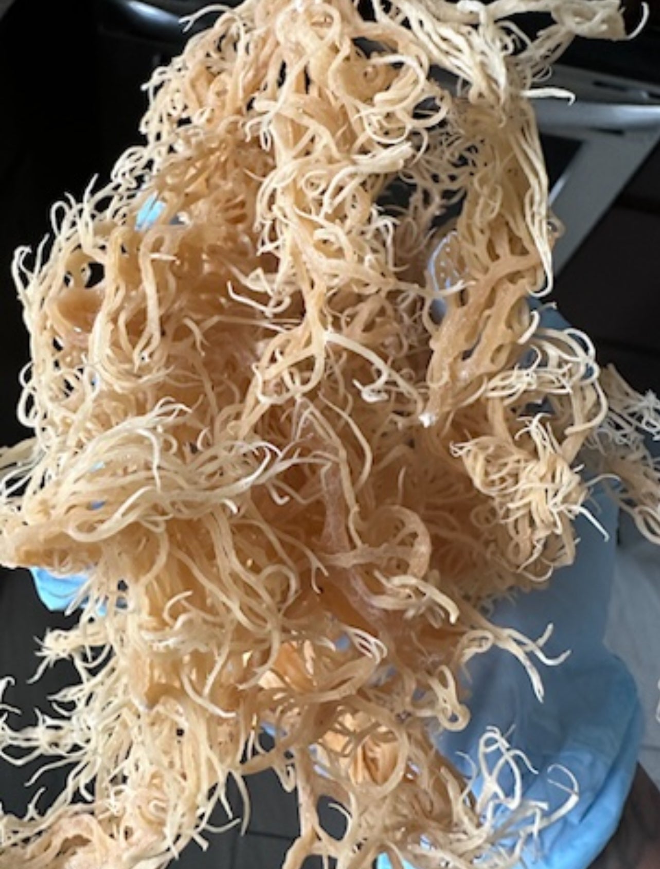 Saint Lucia Wildcrafted Sea Moss