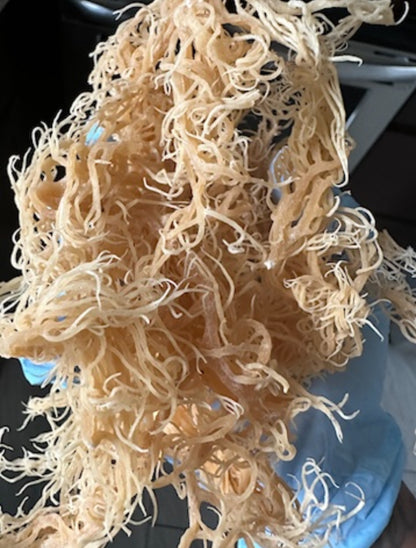 Saint Lucia Wildcrafted Sea Moss